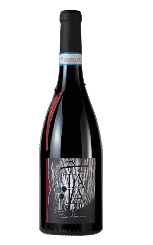 Barbera DOC 2023 Cantina Tàia