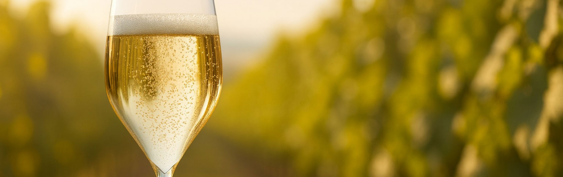 bollicine eleganti nel calice tra i vigneti al tramonto