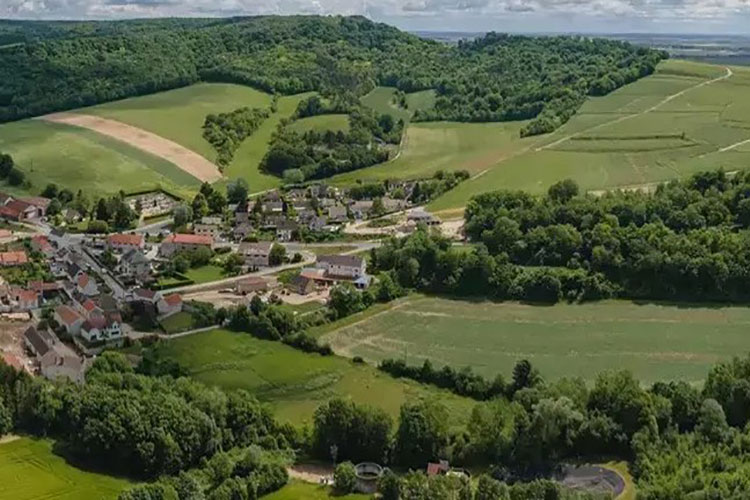 Vista dei vigneti Grand Cru di Louvois, territorio della Maison Pierson Cuvelier nella Montagne de Reims