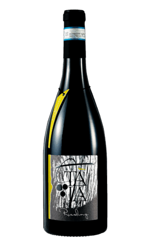 Riesling Renano DOC 2022 Cantina Tàia bottiglia 0,75