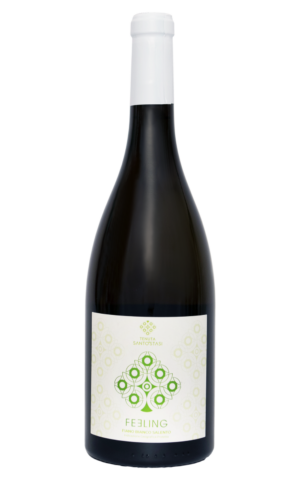Etichetta frontale Feeling Fiano Salento IGP 2024 Tenuta Santo Stasi – vino bianco Fiano del Salento