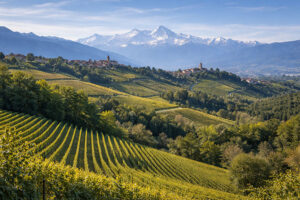 Vigneti dell’Alto Piemonte ai piedi delle Alpi, territorio vocato alla viticoltura di montagna