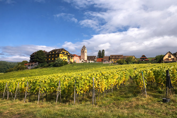 Domaine Charles Frey