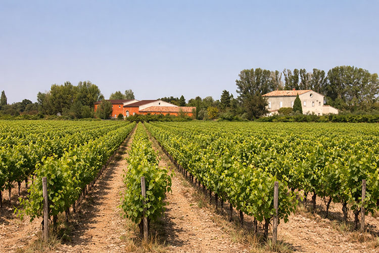Domaine de la Graveirette