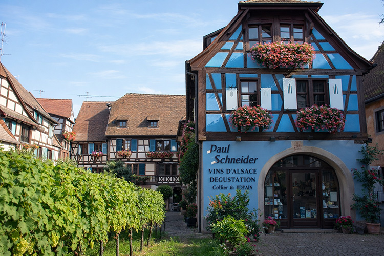 Domaine Paul Schneider