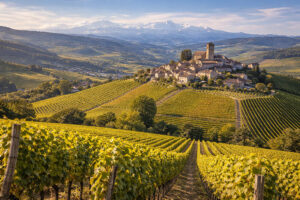 Vigneti delle Langhe con colline piemontesi e borghi storici, cuore del territorio vitivinicolo del Piemonte