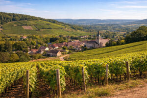 Vigneti del cru Les Saumonts a Mercurey nella Côte Chalonnaise
