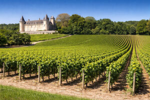 Vigneti del climat Chaponnière a Rully nella Côte Chalonnaise, Borgogna, con filari ordinati e castello sullo sfondo