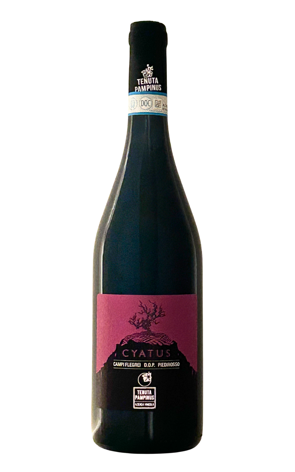 Cyatus Piedirosso DOP