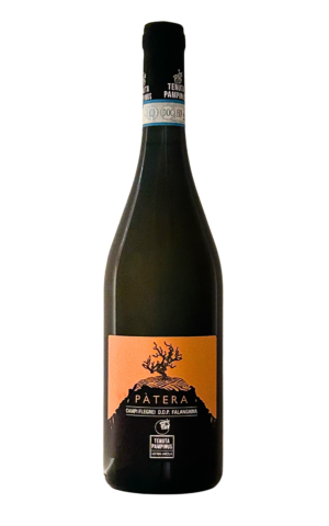 Pàtera Falanghina DOP 2024 Tenuta Pampinus vino bianco Campi Flegrei