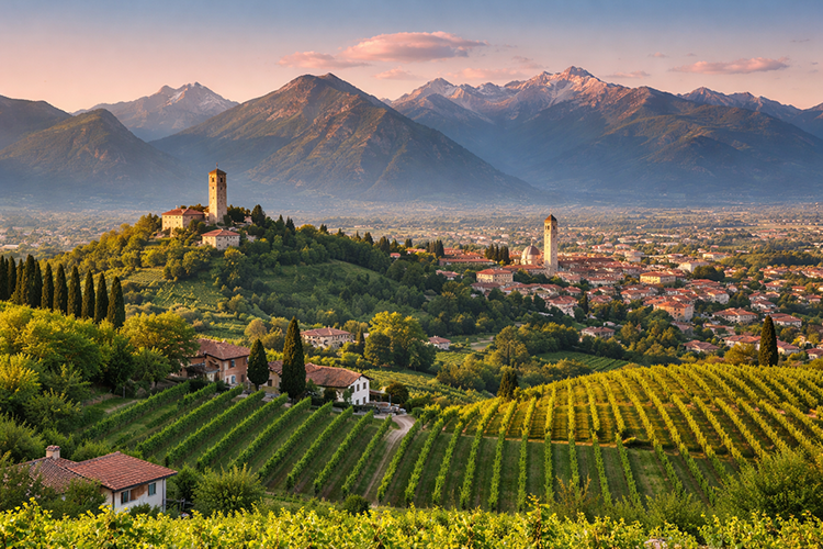 Paesaggio vitivinicolo del Veneto con vigneti nella pianura trevigiana e colline sullo sfondo