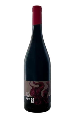 Monleale Colli Tortonesi DOC Oltretorrente bottiglia Barbera dei Colli Tortonesi