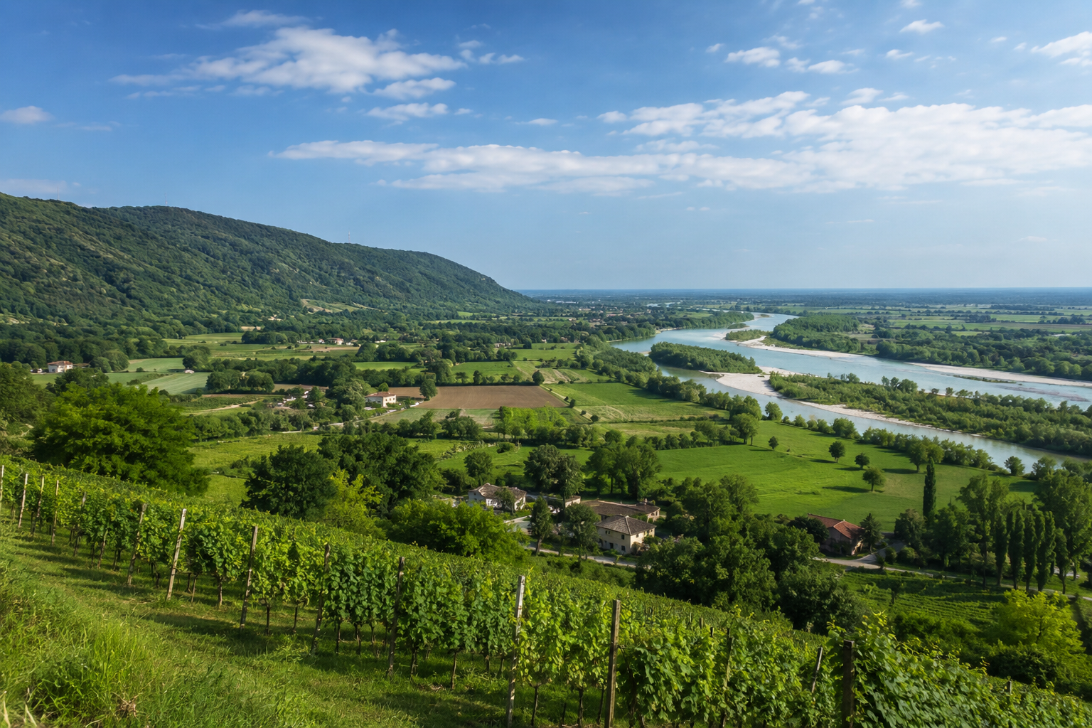 Vista panoramica della campagna tra il Montello e il fiume Piave con vigneti e paesaggio rurale veneto