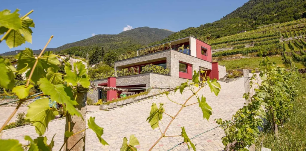 Cantina Menegola