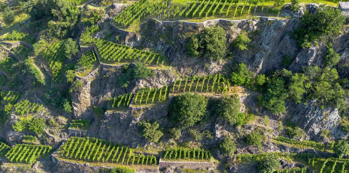 Vigneti terrazzati della Valtellina in Lombardia